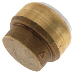 Sharkbite PVC End Caps