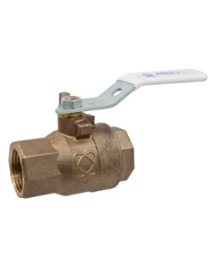 1/2" Threaded Full Port Ball Valve w/ Stainless Steel Lever